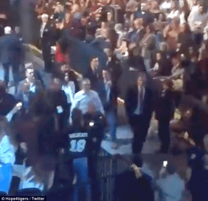 Aviary Photo_131672581671656958